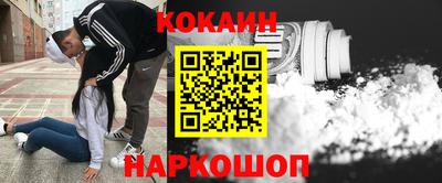 гидропоника Будённовск