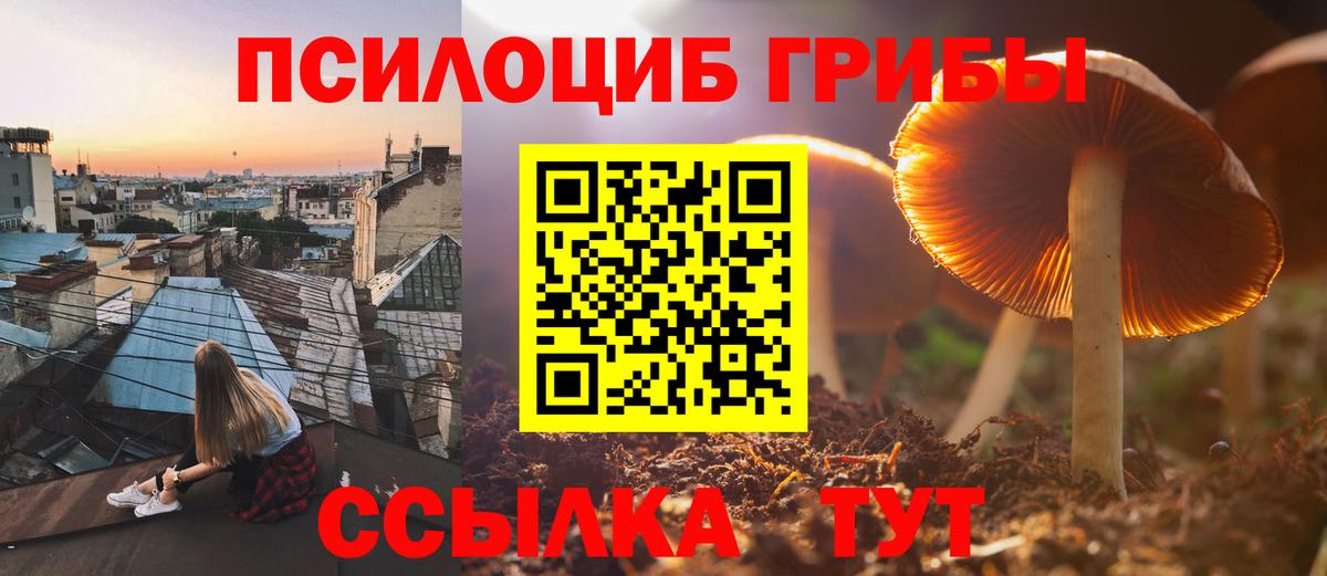 Уфа  Псилоцибиновые грибы мухоморы  Вход с VPN 